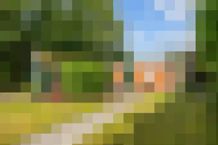 Rijksweg 45 Ten Boer thumbnail 44