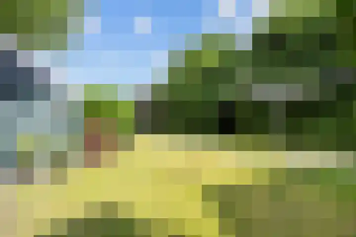 Rijksweg 45 Ten Boer thumbnail 46