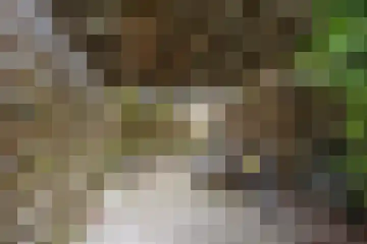 Rijksweg 45 Ten Boer thumbnail 48