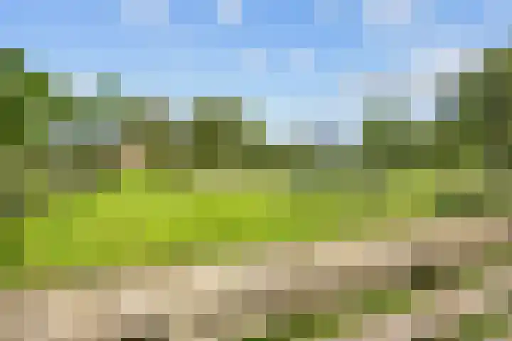 Rijksweg 45 Ten Boer thumbnail 49