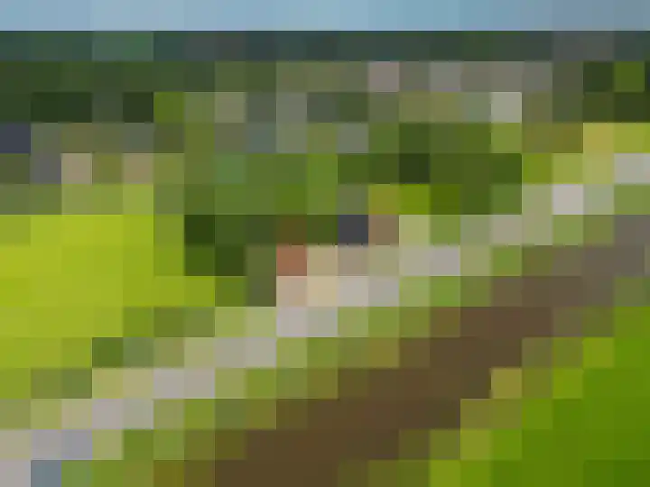 Rijksweg 45 Ten Boer thumbnail 5
