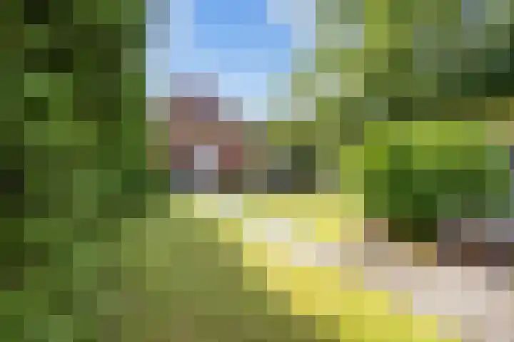 Rijksweg 45 Ten Boer thumbnail 51