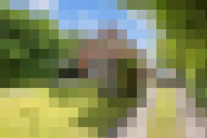 Rijksweg 45 Ten Boer thumbnail 52