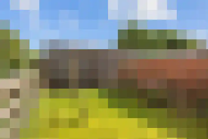 Rijksweg 45 Ten Boer thumbnail 53