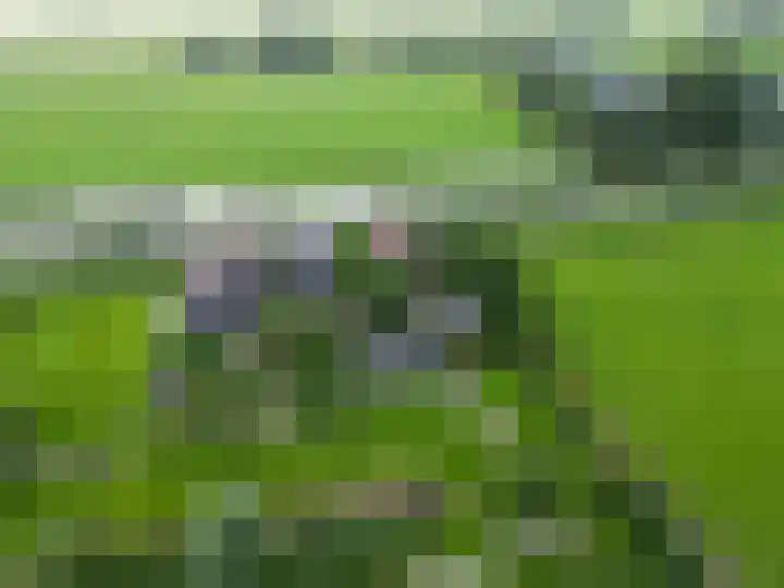 Rijksweg 45 Ten Boer thumbnail 7