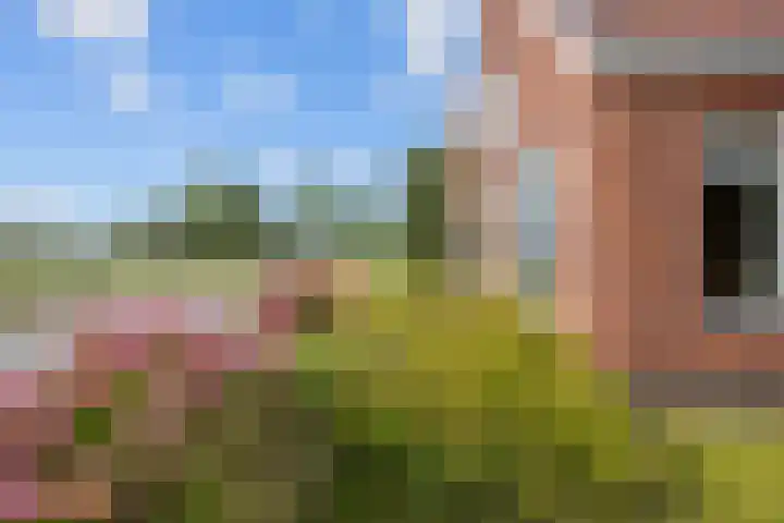 Rijksweg 45 Ten Boer thumbnail 8