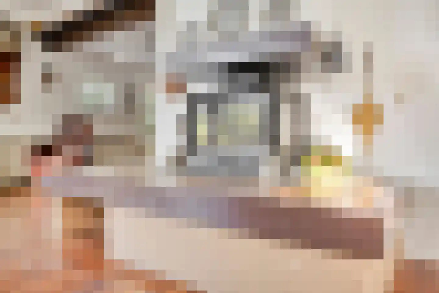 Rijksweg 46 Malden thumbnail 13