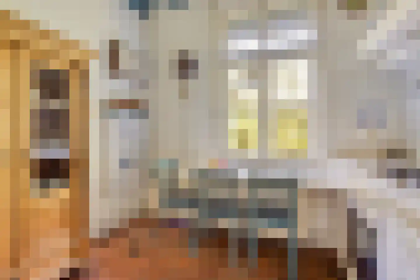 Rijksweg 46 Malden thumbnail 16