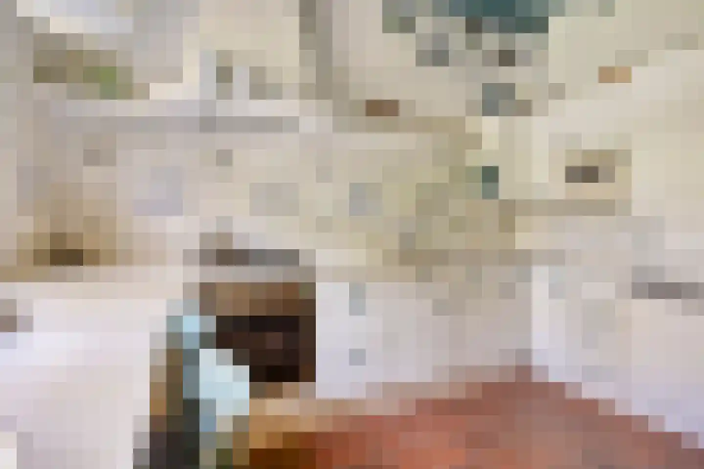 Rijksweg 46 Malden thumbnail 17