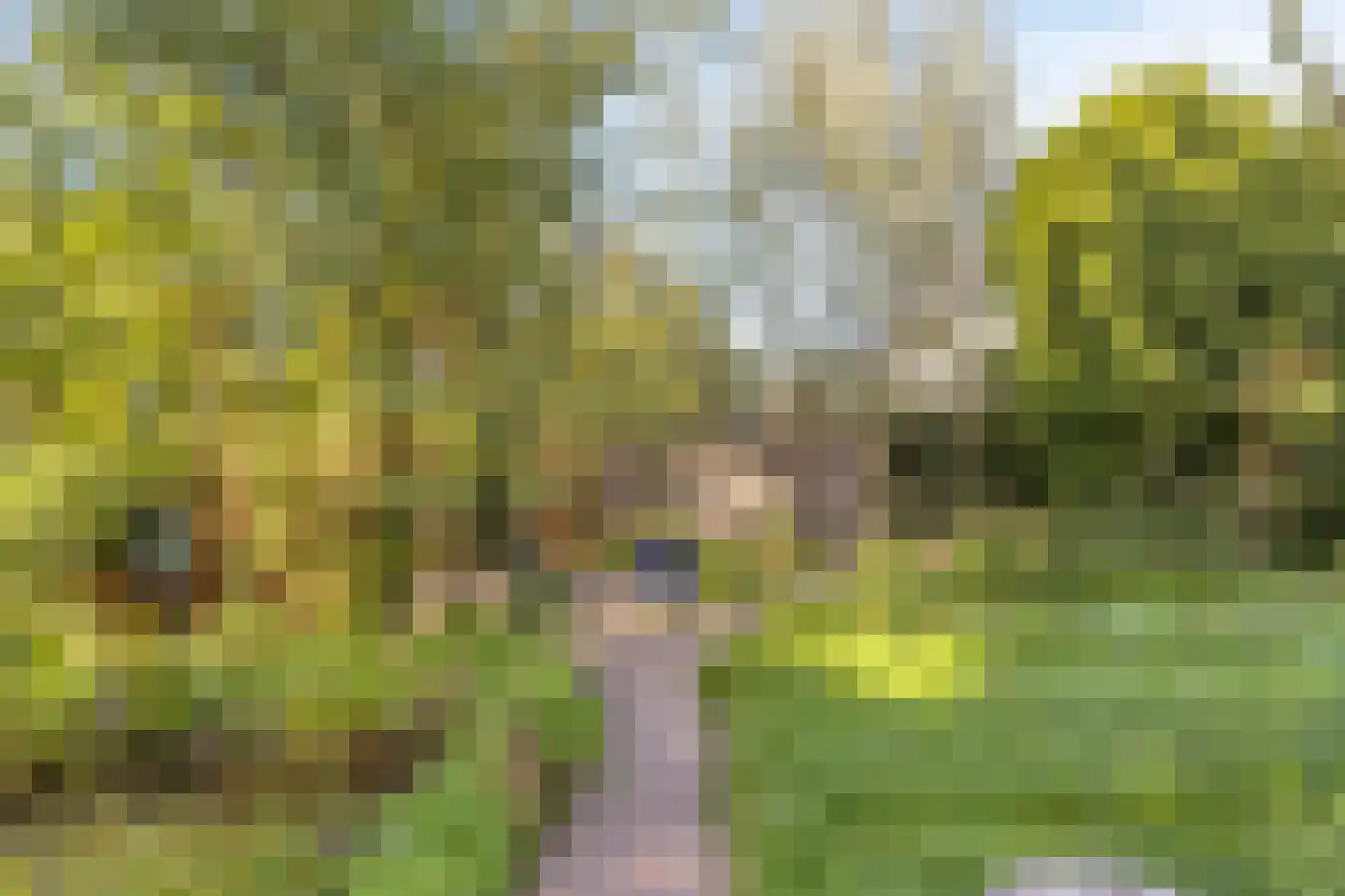 Rijksweg 46 Malden thumbnail 36