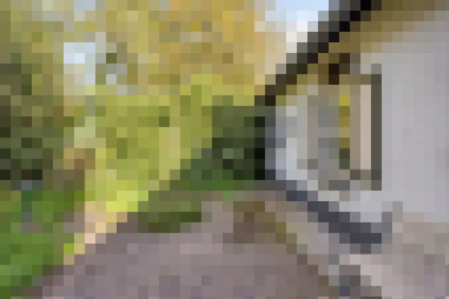 Rijksweg 46 Malden thumbnail 39