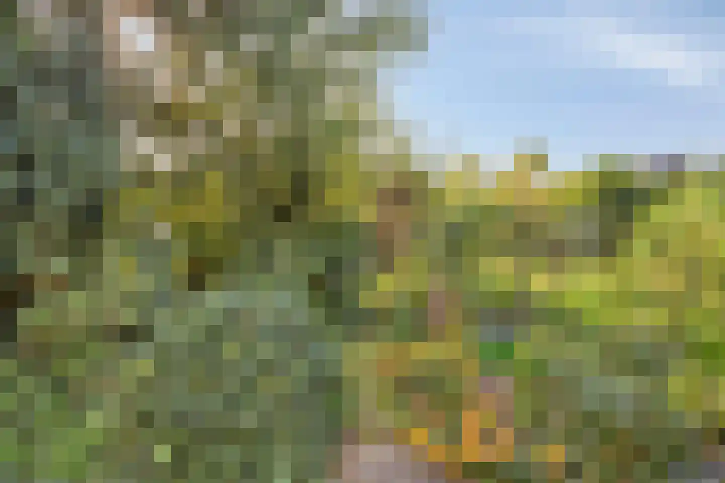 Rijksweg 46 Malden thumbnail 41