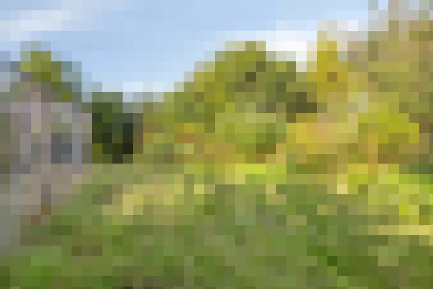 Rijksweg 46 Malden thumbnail 42