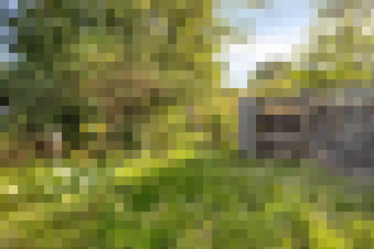 Rijksweg 46 Malden thumbnail 43