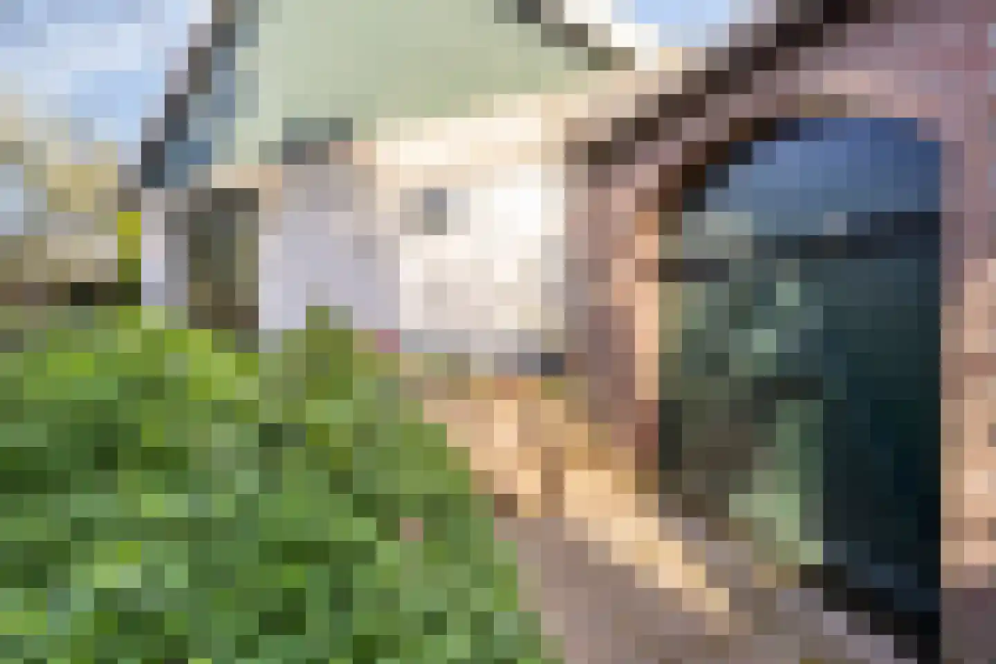 Rijksweg 46 Malden thumbnail 46
