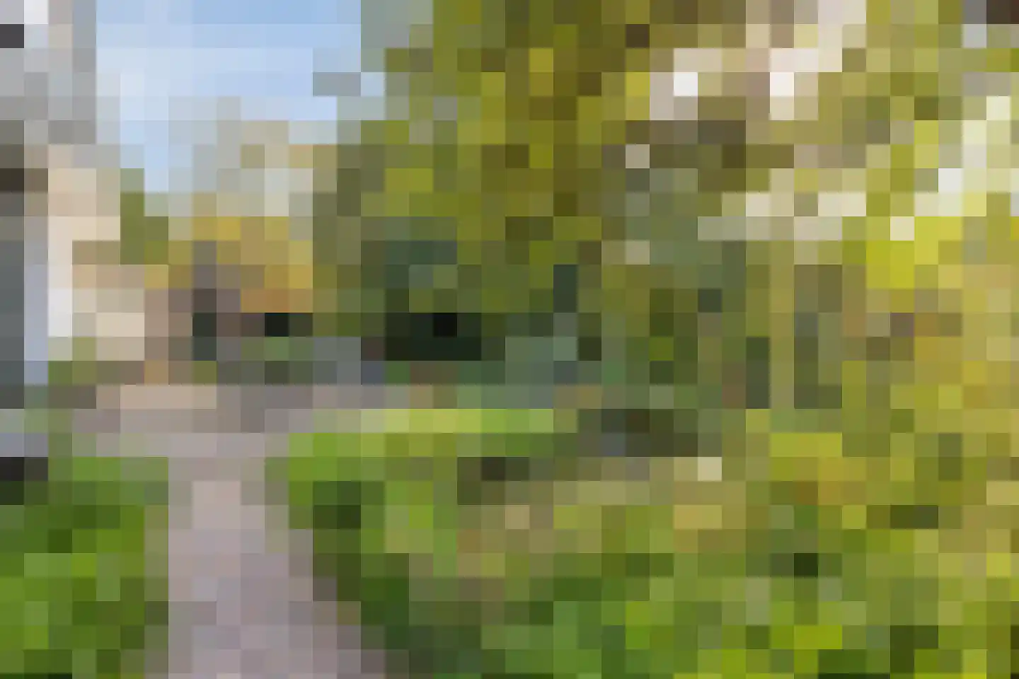 Rijksweg 46 Malden thumbnail 47