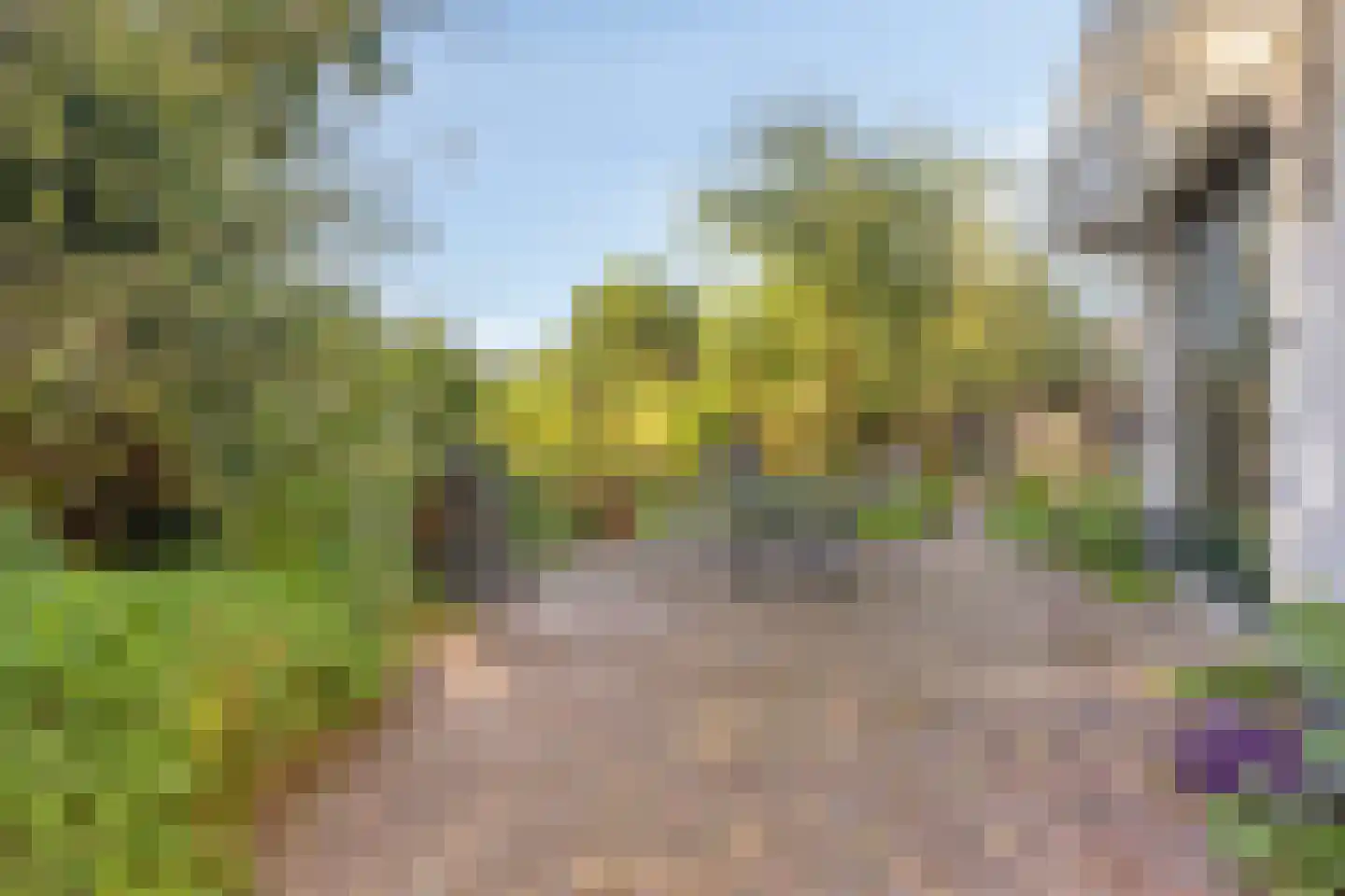 Rijksweg 46 Malden thumbnail 5