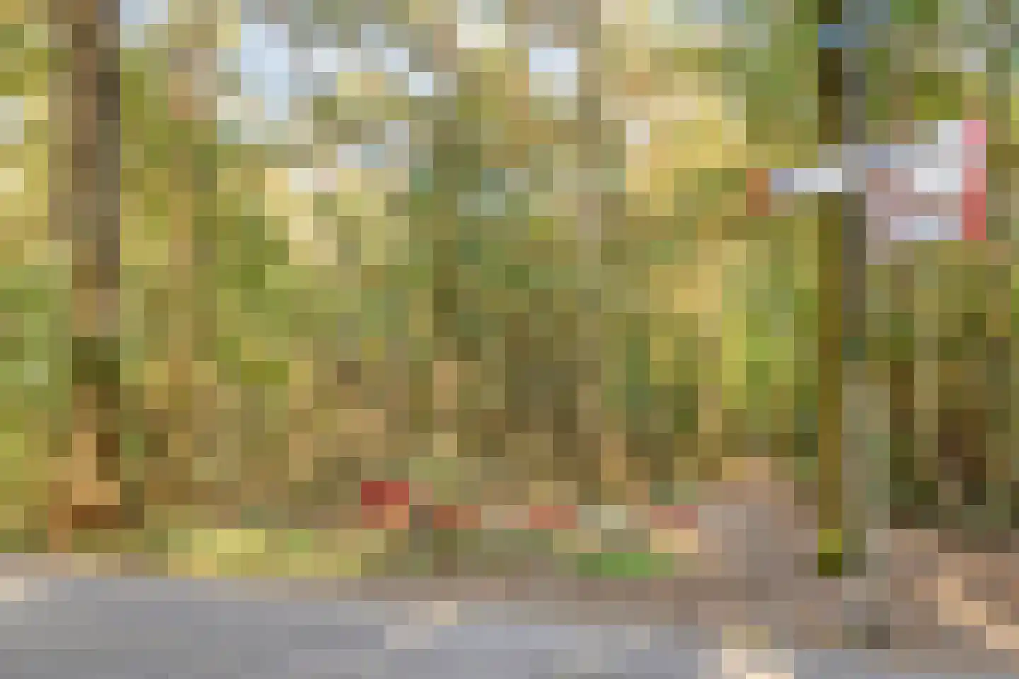 Rijksweg 46 Malden thumbnail 53