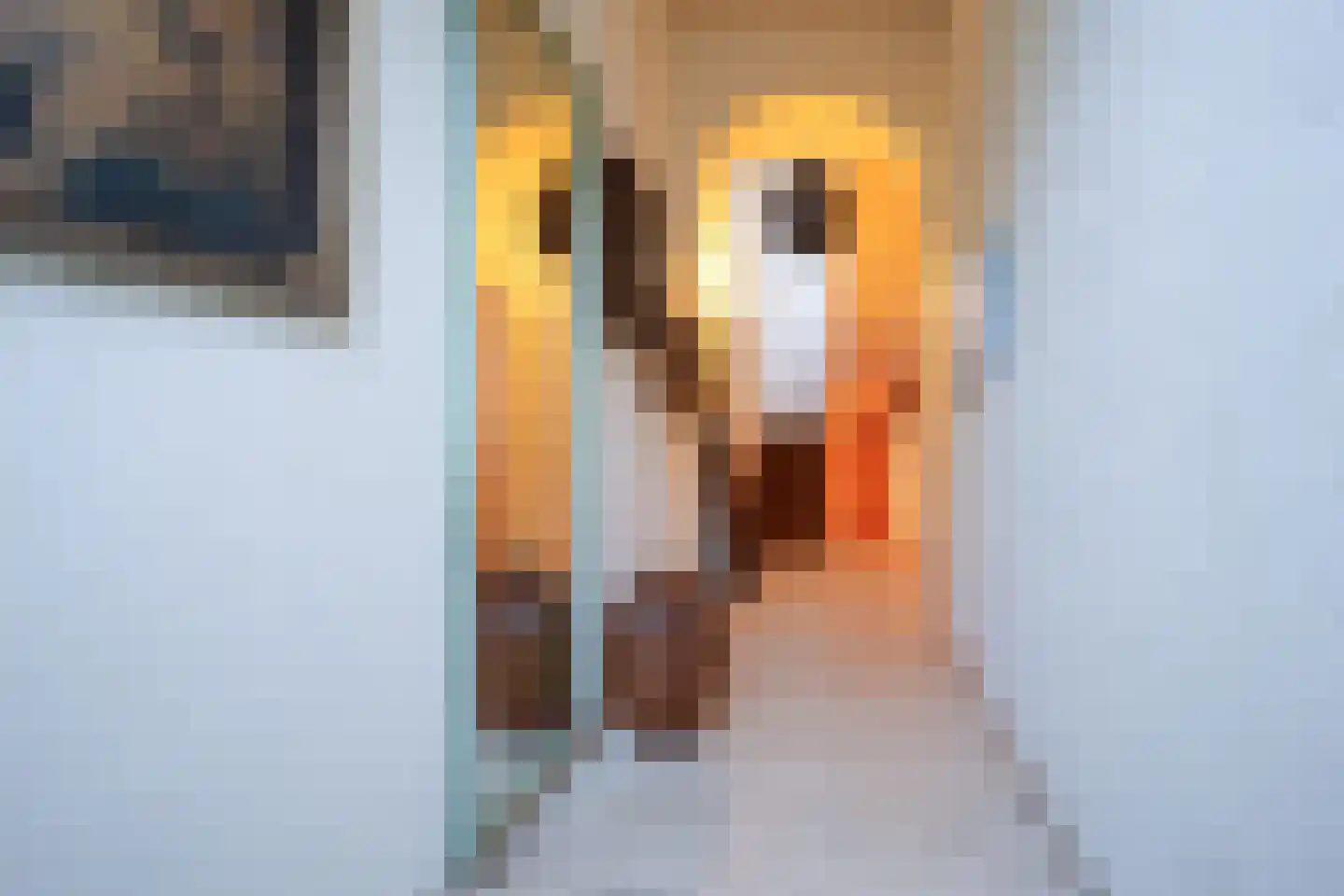 Rijksweg 47 Gulpen foto 2