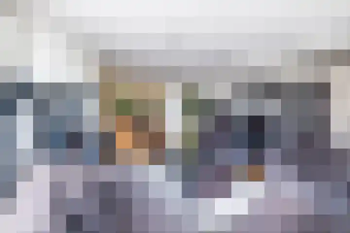 Rijksweg 47 Smilde thumbnail 14