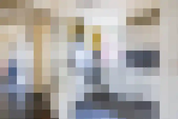 Rijksweg 47 Smilde thumbnail 21