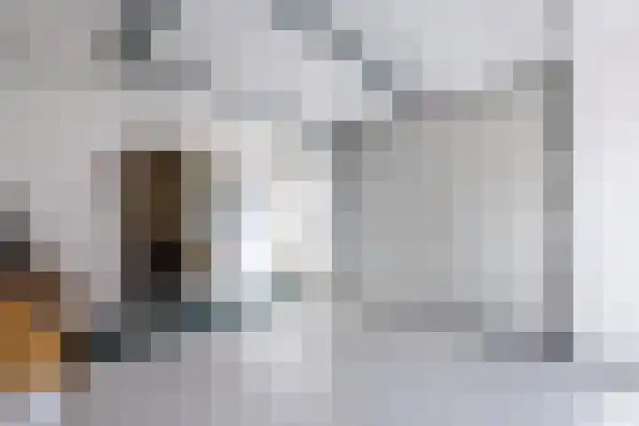 Rijksweg 47 Smilde thumbnail 34