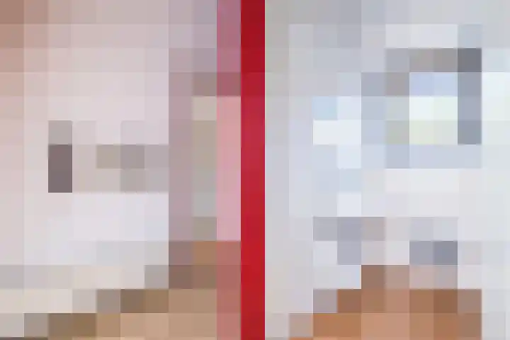 Rijksweg 47 Smilde thumbnail 38