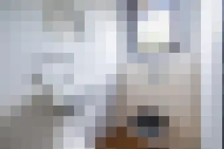 Rijksweg 47 Smilde thumbnail 44