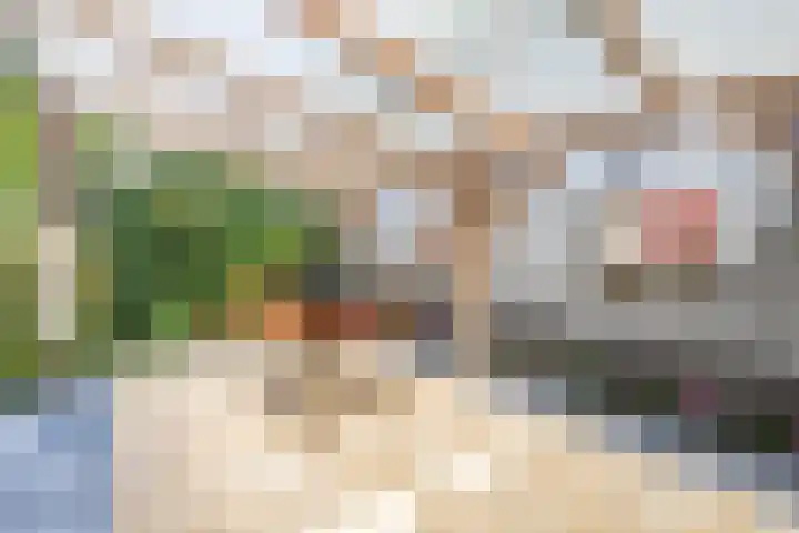 Rijksweg 47 Smilde thumbnail 60