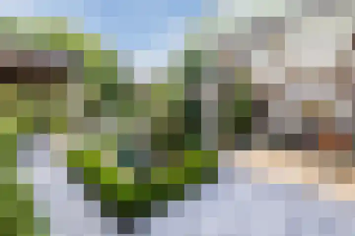 Rijksweg 47 Smilde thumbnail 62