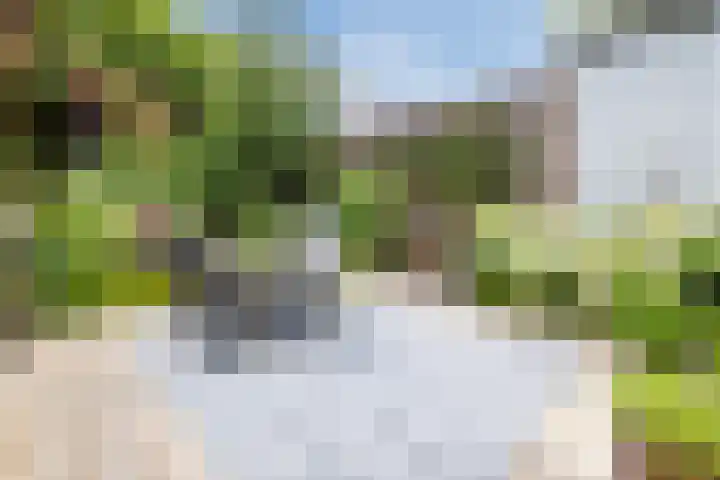 Rijksweg 47 Smilde thumbnail 63