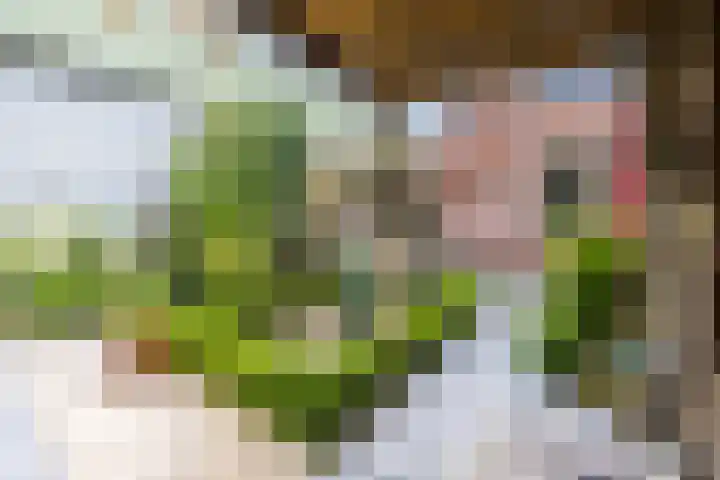 Rijksweg 47 Smilde thumbnail 64