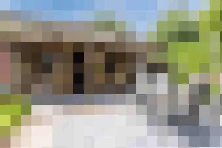 Rijksweg 47 Smilde thumbnail 65