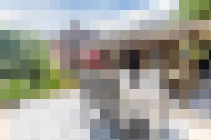 Rijksweg 47 Smilde thumbnail 66