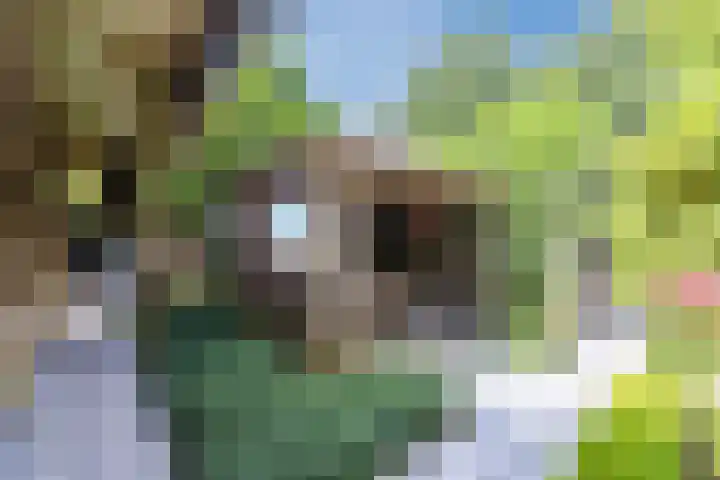 Rijksweg 47 Smilde thumbnail 71