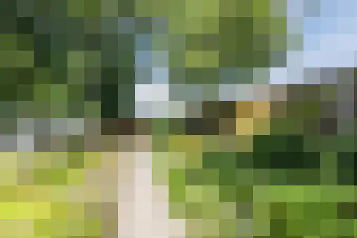 Rijksweg 47 Smilde thumbnail 73