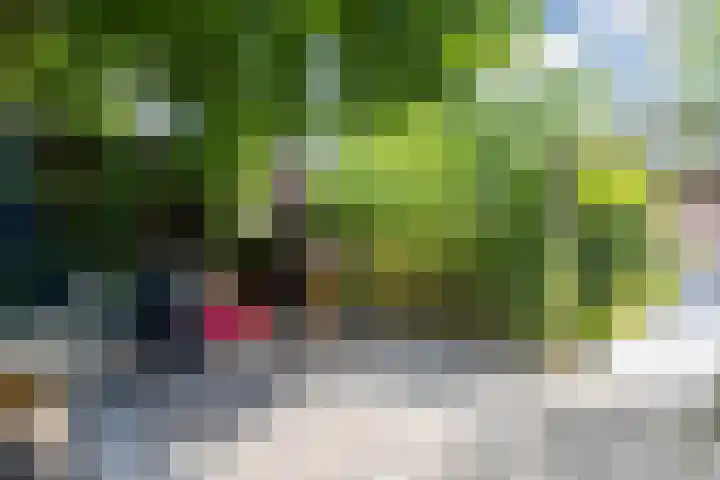 Rijksweg 47 Smilde thumbnail 74