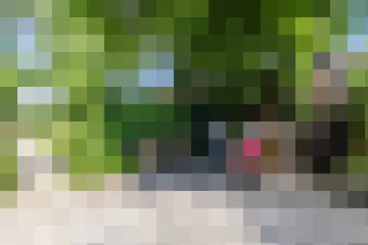 Rijksweg 47 Smilde thumbnail 75