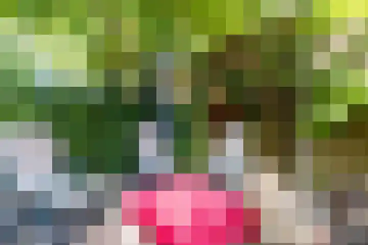 Rijksweg 47 Smilde thumbnail 76