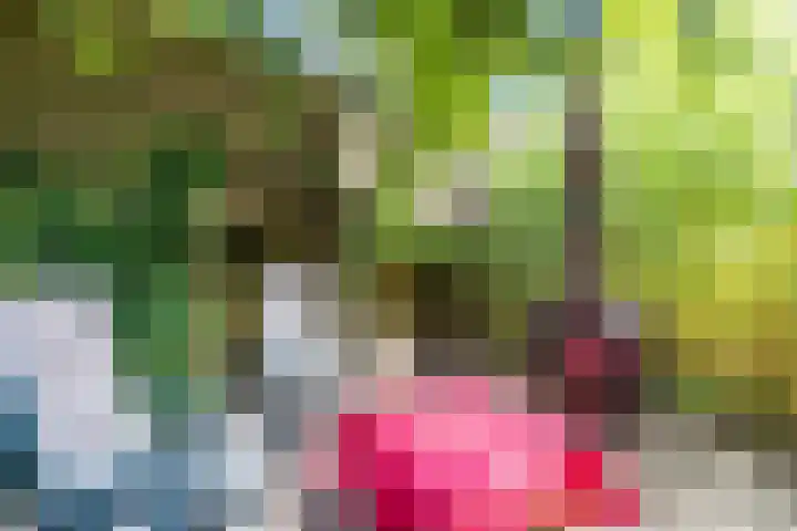 Rijksweg 47 Smilde thumbnail 77