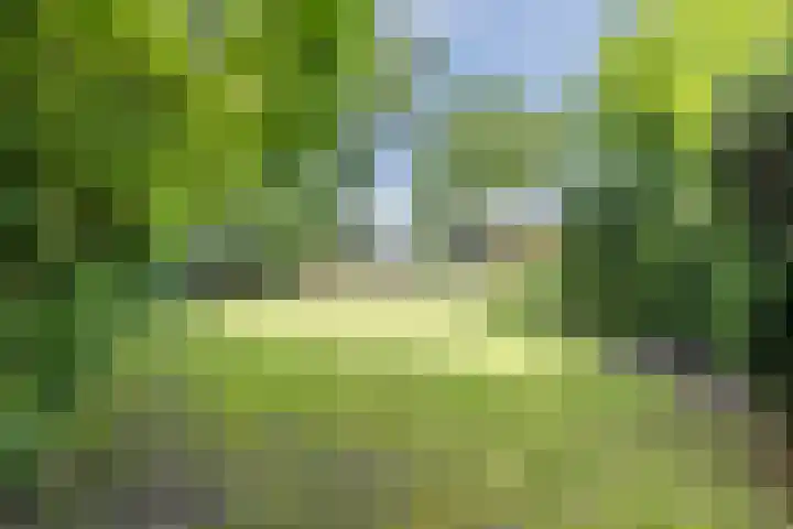 Rijksweg 47 Smilde thumbnail 79