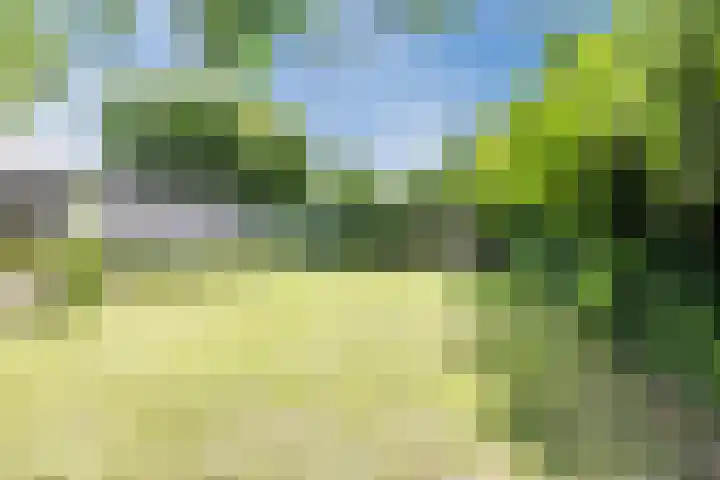 Rijksweg 47 Smilde thumbnail 80