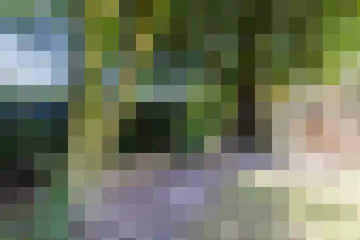 Rijksweg 47 Smilde thumbnail 81