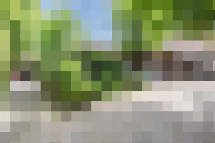 Rijksweg 47 Smilde thumbnail 82