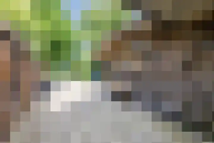 Rijksweg 47 Smilde thumbnail 84