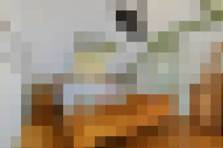 Rijksweg 48 Malden thumbnail 19