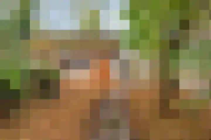 Rijksweg 48 Malden thumbnail 30