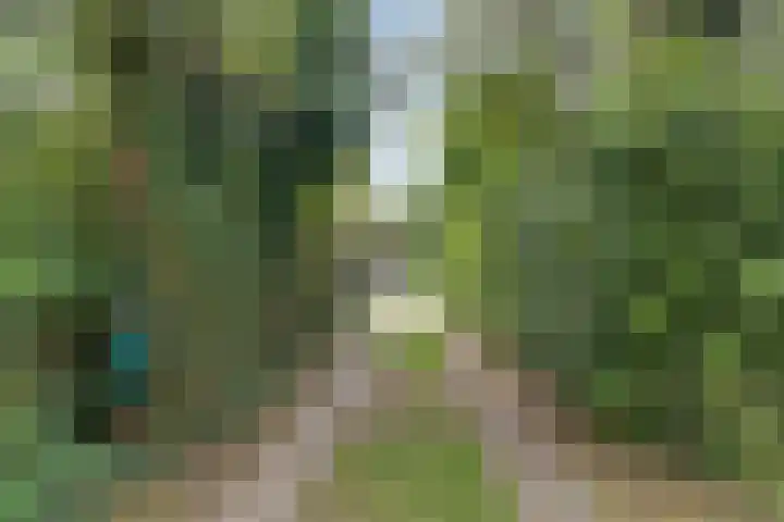 Rijksweg 48 Malden thumbnail 37
