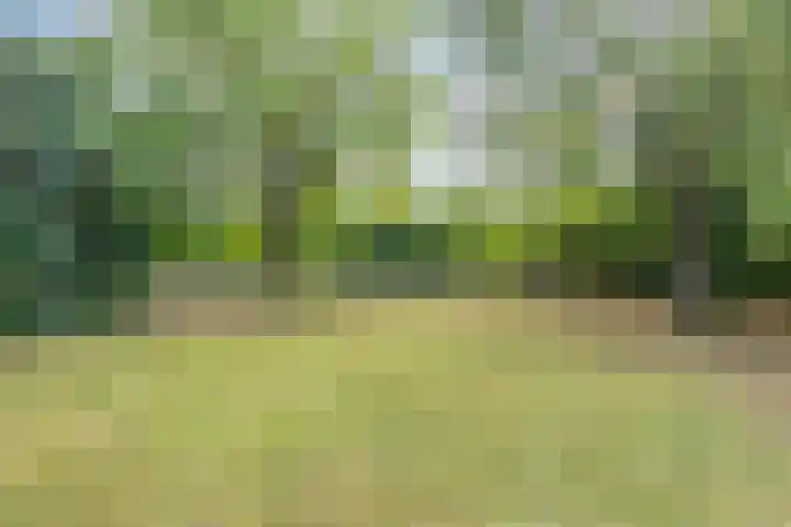 Rijksweg 48 Malden thumbnail 4