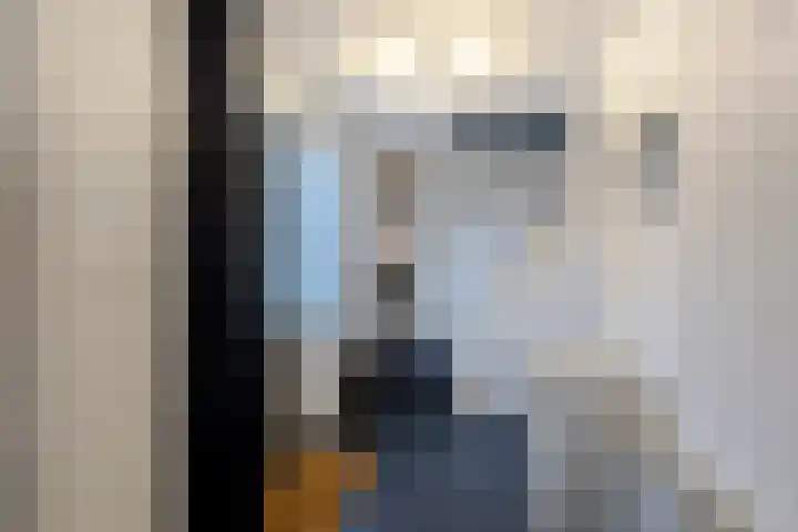 Rijksweg 48 Nieuwendijk thumbnail 10
